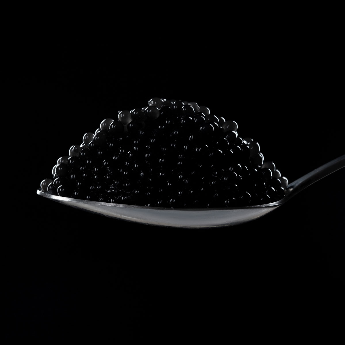 cfs_veganes-black-01