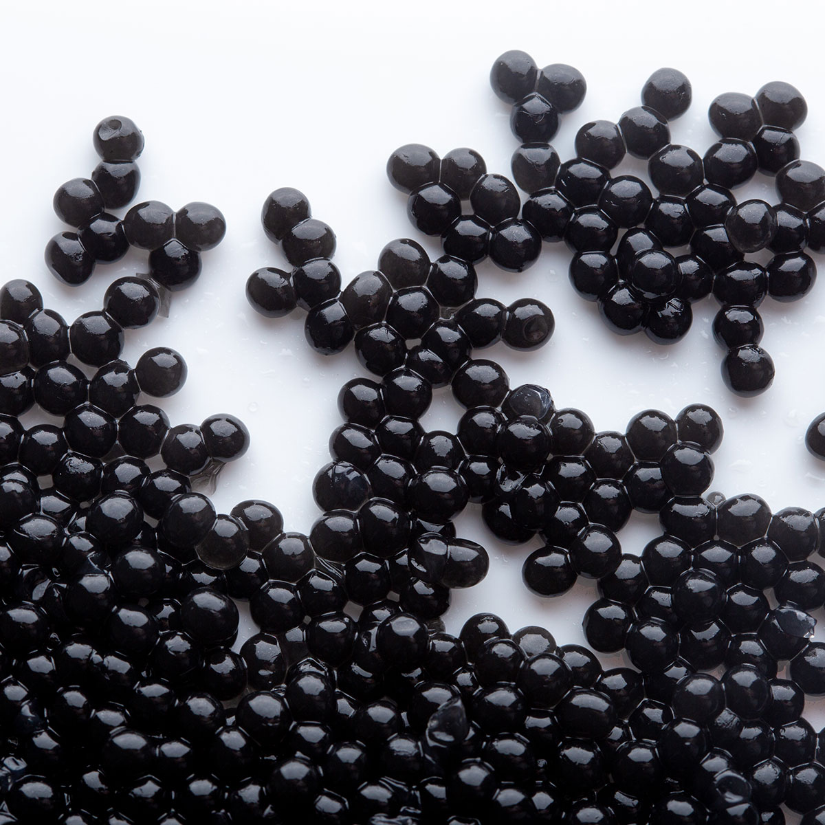 cfs_veganes-black-02